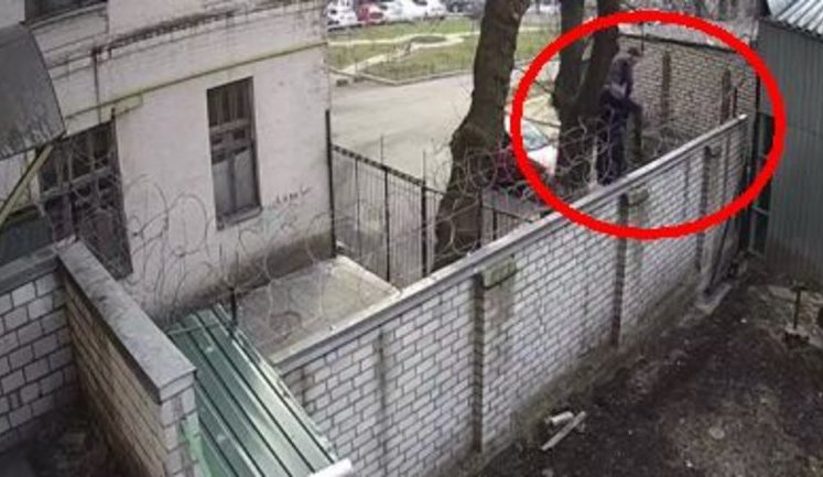 Перелізла через паркан, спробувала кинути телефон в Бабікова, чинила спротив, - ДБР розслідує "факт можливого порушення громадського порядку" Чорновол. ВIДЕО