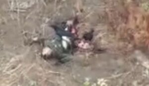 Дві ворони шматують тіло ліквідованого окупанта. ВIДЕО 18+