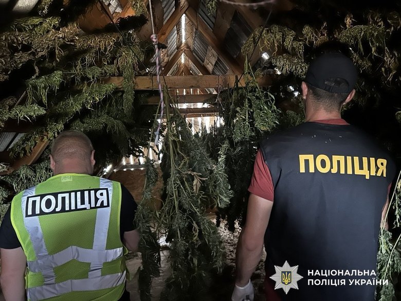 Тонна канабісу та вилучені майна на 350 млн грн: підсумки спецоперації