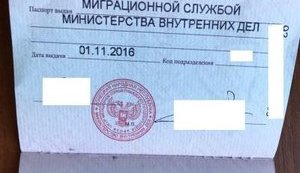 паспорт днр