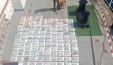Українця затримали у Венесуелі: на панамському судні він віз 147 кілограмів кокаїну в Бельгію