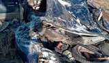 В Сумской области оккупанты раздавили авто с мужчиной, который пытался остановить российскую колонну, - Офис Генпрокурора. ФОТО