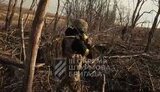 бійці третьої ошбр зачищають лісосмугу