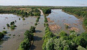 парк,нижньодніпровський
