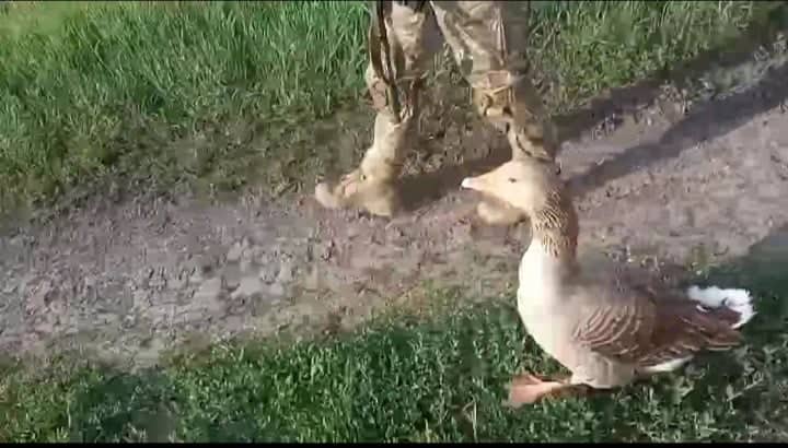 Мінометник Ілля Кононов: Мені 22, за спиною у мене - лише військова кафедра, деякі вишколи - та й усе, і тут треба вести людей у бій 09