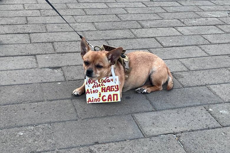 Protests against the law on NABU and SAP continue in Ukraine on 25 July