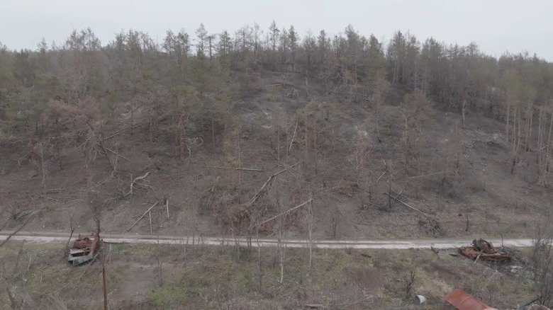 Через війну майже 30% лісів нацпарку "Святі Гори" втрачено