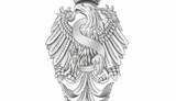 польша сенат