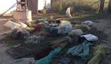 браконьеры сети