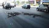 осокорки