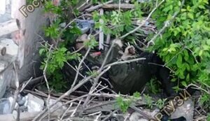 "Гострі Картузи" зафіксували самогубство окупанта: росіянин підірвався за допомогою гранати під Покровськом. ВIДЕО
