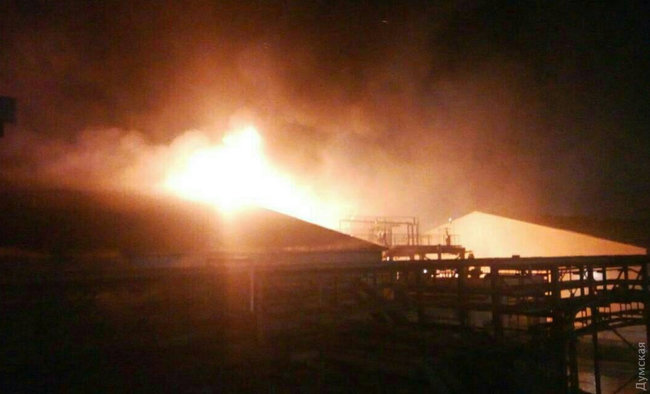 Спасатели ликвидировали пожар на маслозаводе под Одессой 04