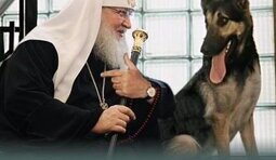"Все, что нажито непосильным трудом..."