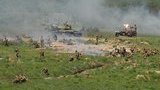Воины со всей Европы и Японии в Киеве воссоздали самую масштабную военную реконструкцию. ФОТОрепортаж+ВИДЕО