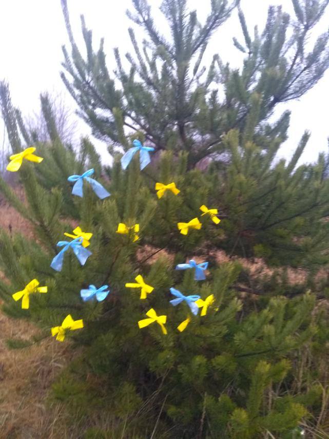 Жителі лівобережної Херсонщини на знак опору ворогу чіпляють синьо-жовті стрічки на вулицях 09