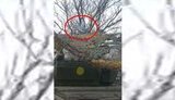 танк,дрон
