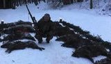 Червоненко похвастался своими фото в окружении десятков трупов кабанов. ФОТО