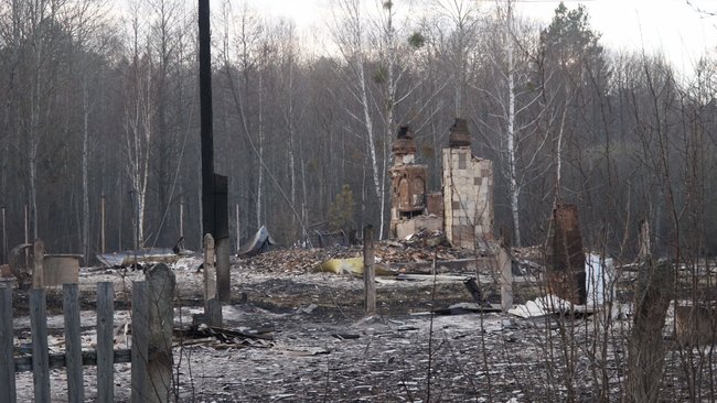 Причина лісових пожеж - приховування вирубки лісів, - Білецький показав кадри наслідків підпалів на Житомирщині 06 Причина лісових пожеж - приховування вирубки лісів, - Білецький показав кадри наслідків підпалів на Житомирщині 06