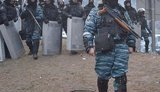 беркут