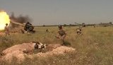 Резервисты артиллерийской бригады ВМС провели учения с боевой стрельбой. ФОТОрепортаж