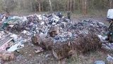мусор