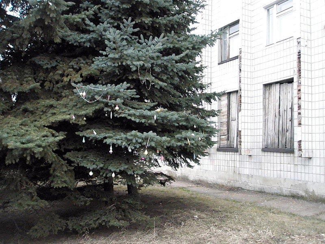 Цензор.НЕТ Изображение
