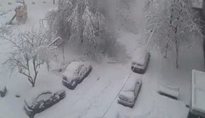"It’s 7 a.m., two degrees below zero, and 8 centimeters of snow in the yard. I feel sorry for trees that just started to blossom," - abnormal snowfall covered Dnipro City. VIDEO