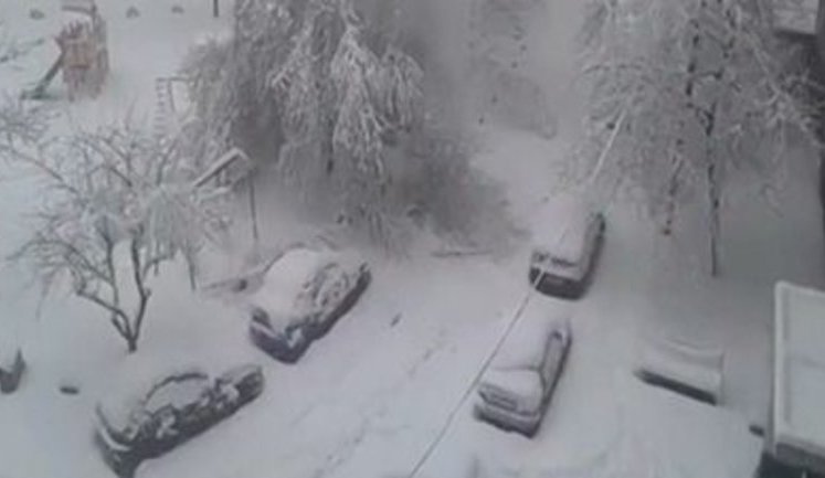 "It’s 7 a.m., two degrees below zero, and 8 centimeters of snow in the yard. I feel sorry for trees that just started to blossom," - abnormal snowfall covered Dnipro City. VIDEO