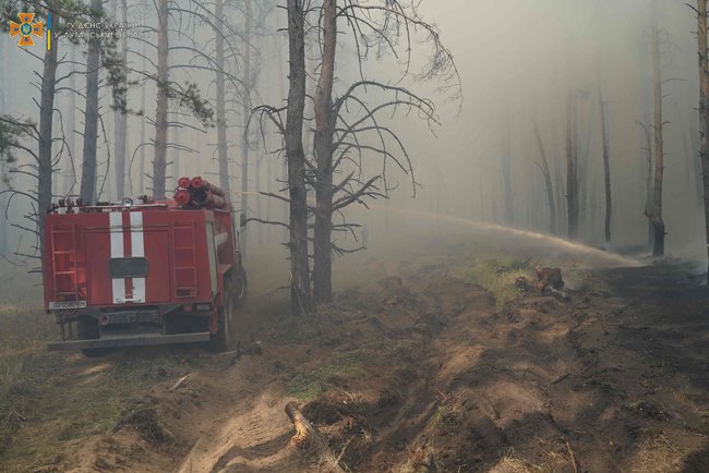Лісову пожежу ліквідують на Луганщині, - ДСНС 05