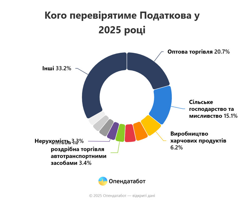Податкові перевірки у 2025 році