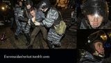 беркут
