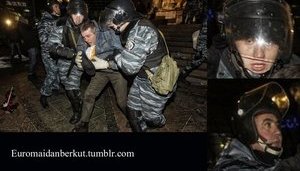 беркут