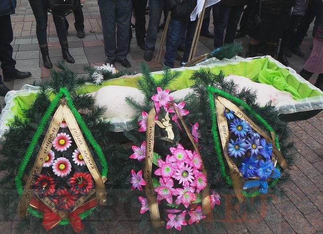 Agrarians rally against land sale in Ukraine 12