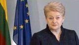 Наше основное требование от Украины - обеспечение независимости НАБУ, - Грибаускайте