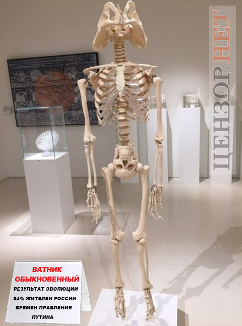 Научный факт