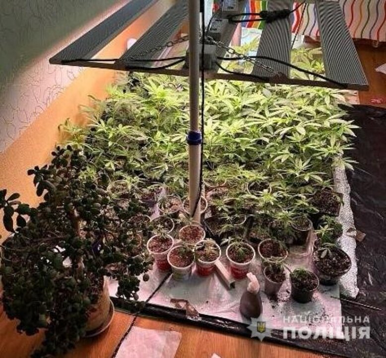 У Львові ліквідовано наркоугруповання