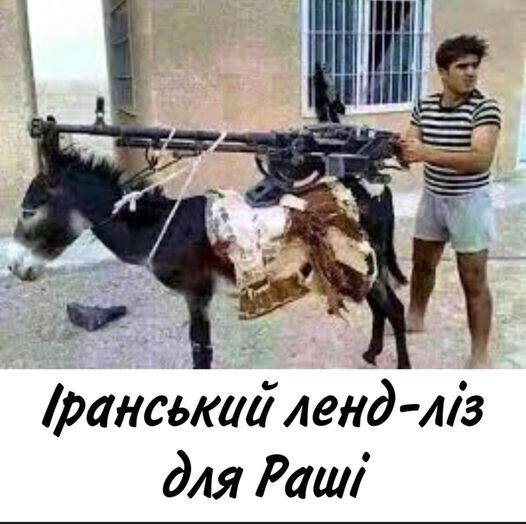 Властелин овец, бриллиантовая труба, газовая игла. Свежие ФОТОжабы от Цензор.НЕТ 07