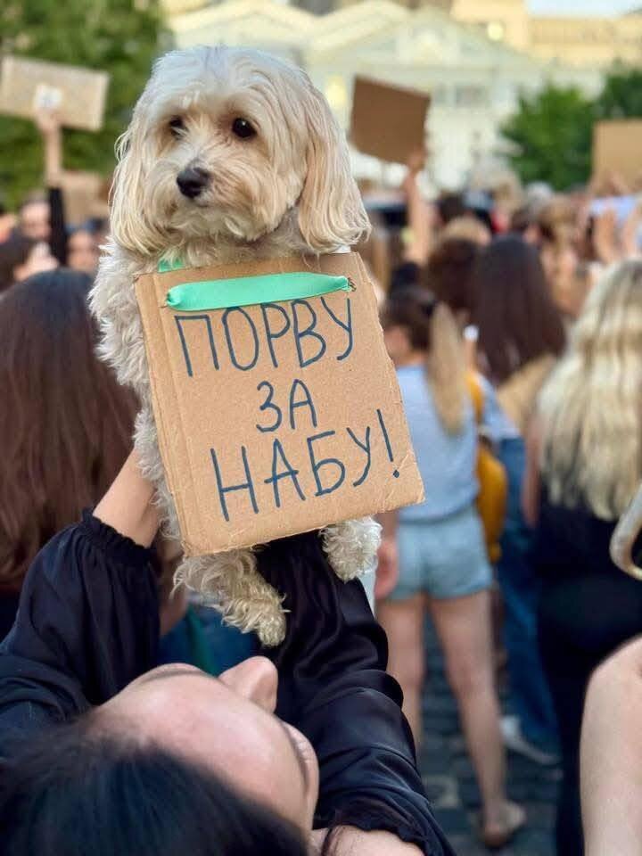 Собаки на мітингах