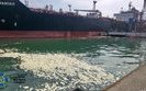 Члену экипажа иностранного судна сообщено о подозрении из-за сброса в Черное море 8,5 тонн пальмового масла, - СБУ. ФОТОрепортаж