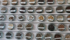 Рада ратифікувала Міжнародний договір про генетичні ресурси рослин: що це дає?