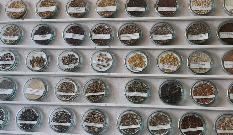 Рада ратифікувала Міжнародний договір про генетичні ресурси рослин: що це дає?