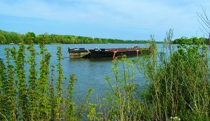 Украина и Беларусь согласовали план возобновления судоходства по Днепру и Припяти