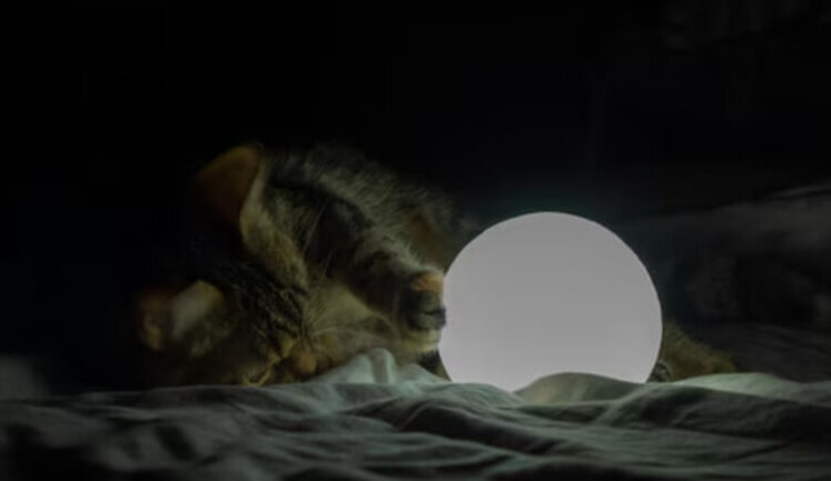 У понеділок світло відключатимуть усю добу, обмежуватимуть до половини споживачів, – "Укренерго"