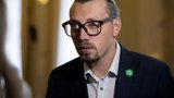 Не знаю жодного нардепа, на якого б тиснули за небажання підтримувати виключення Лероса з фракції, - "слуга народу" Безгін