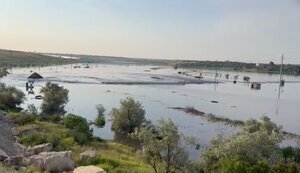 миколаївщина,мости