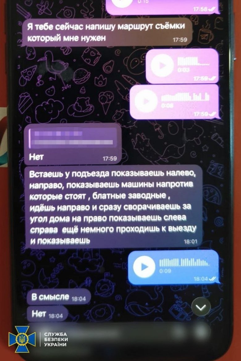 Woman was planning terrorist attacks in Izmail: details from the SBU