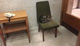 МИД Украины взял кота для "защиты от русокрыс”, а МИД РФ назвал это "тупым национализмом"