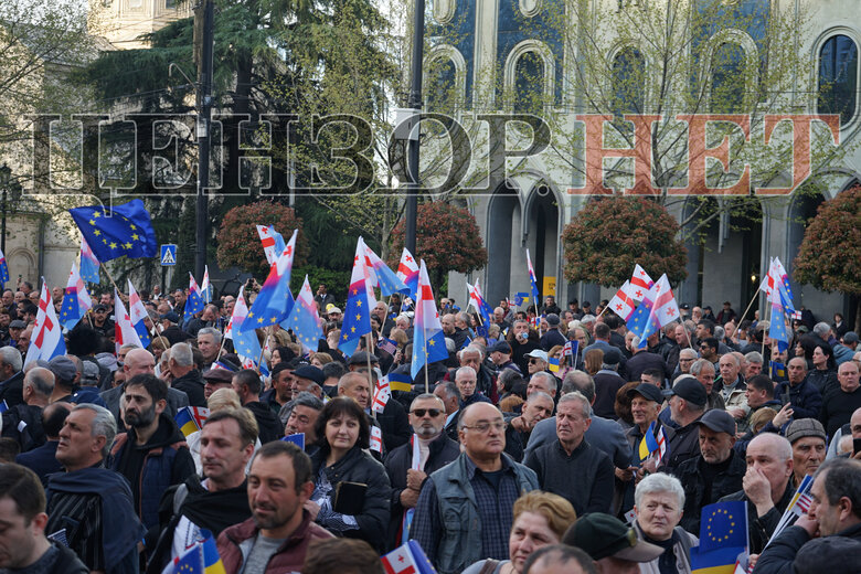 Іншого шансу у Грузії може не бути. Чому грузини хочуть, але не можуть об’єднатися? 13