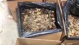 Українець намагався вивезти до Польщі 148 кг бурштину, - ДФС. ФОТОрепортаж
