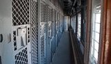 Приговоренный к пожизненному преступник убил 21-летнего конвоира. ФОТО